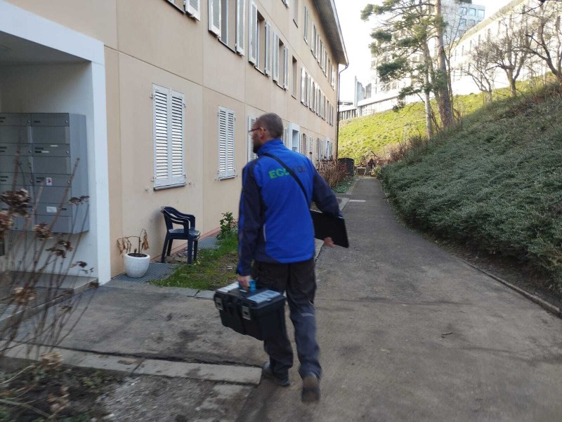 blattes geneve desinsectisation punaises fourmis insectes alimentaires